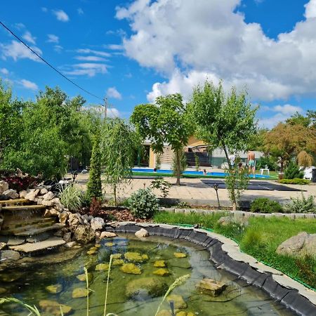 Casa Elis Piscina, Jacuzzy , Sauna, Ciubar Merei エクステリア 写真