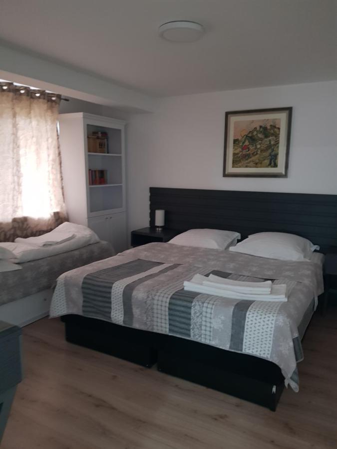 Casa Elis Piscina, Jacuzzy , Sauna, Ciubar Merei エクステリア 写真
