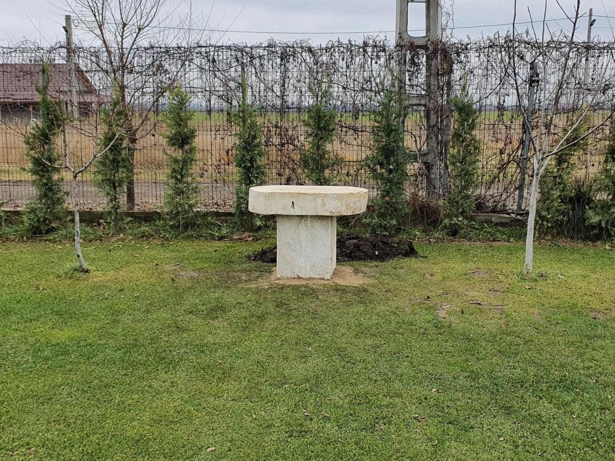 Casa Elis Piscina, Jacuzzy , Sauna, Ciubar Merei エクステリア 写真