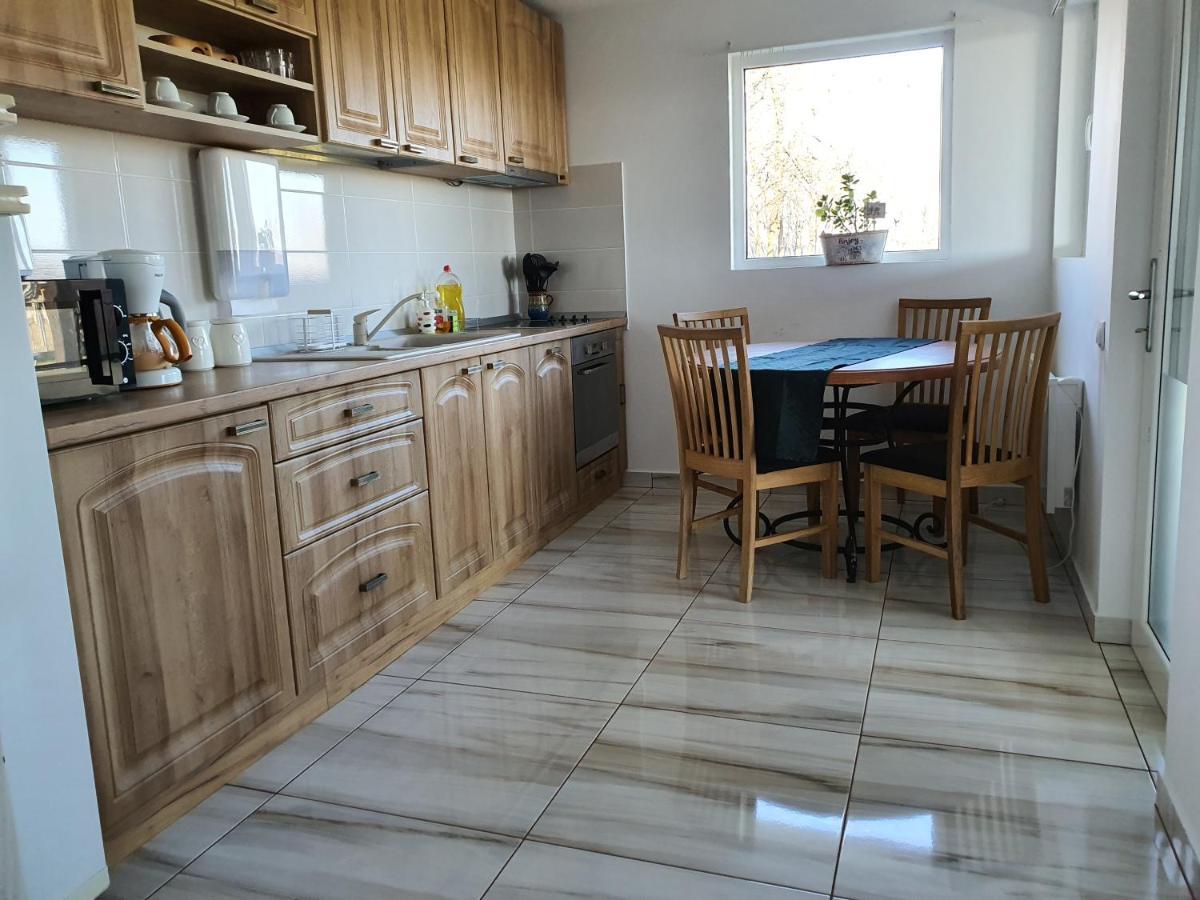 Casa Elis Piscina, Jacuzzy , Sauna, Ciubar Merei エクステリア 写真