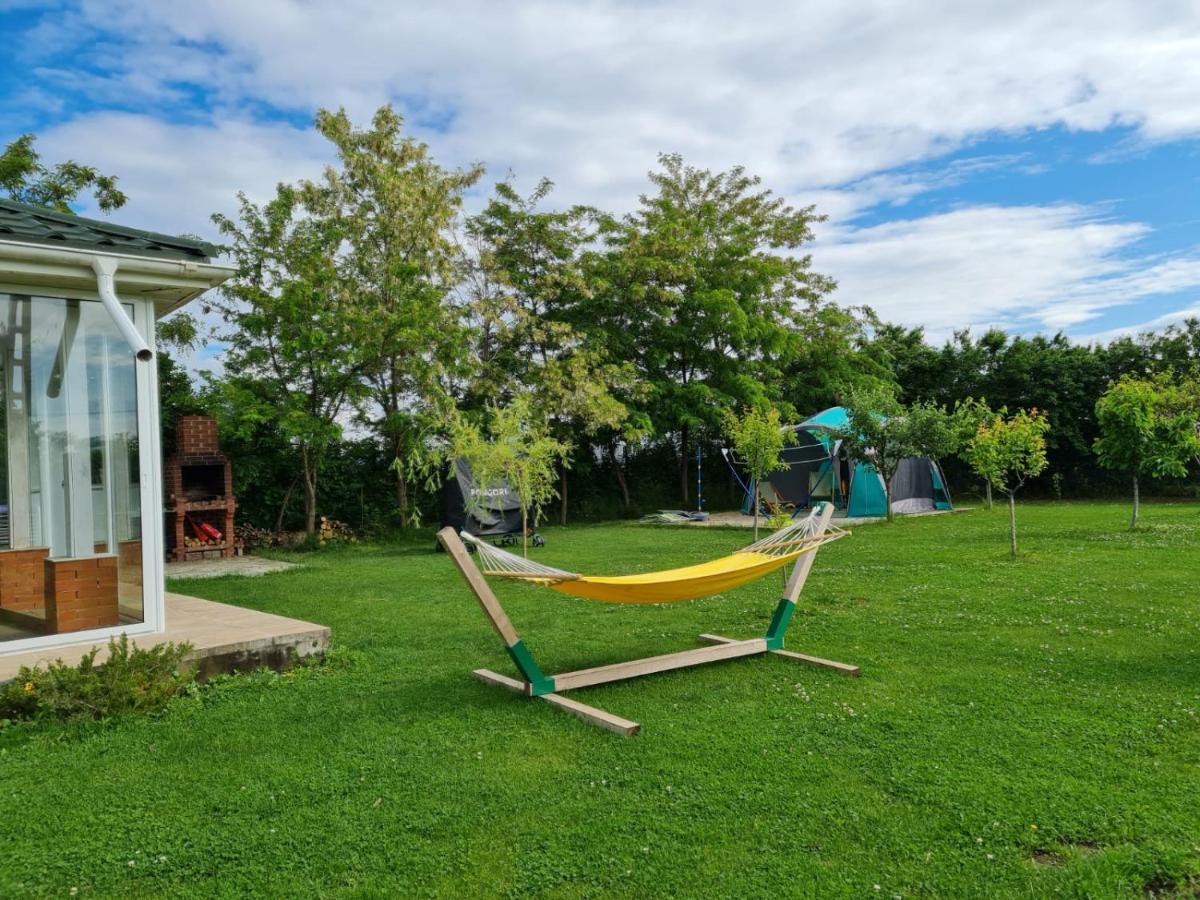 Casa Elis Piscina, Jacuzzy , Sauna, Ciubar Merei エクステリア 写真