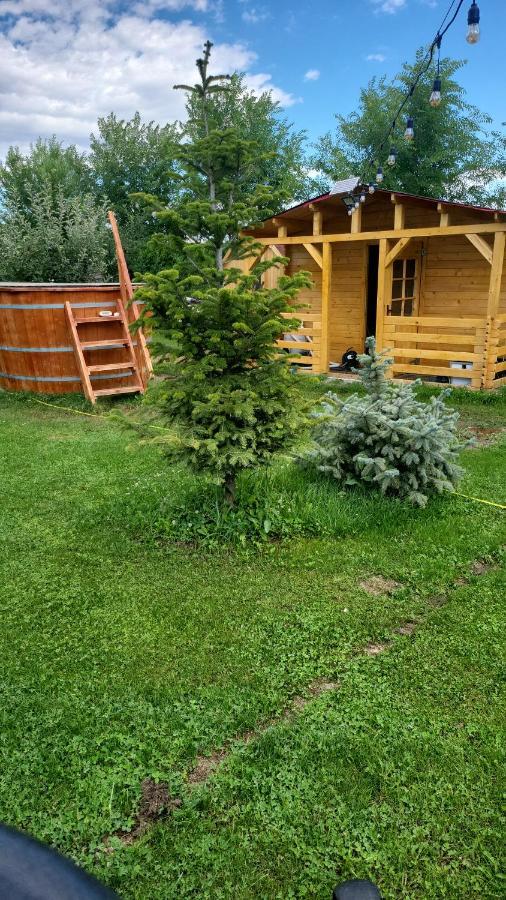 Casa Elis Piscina, Jacuzzy , Sauna, Ciubar Merei エクステリア 写真