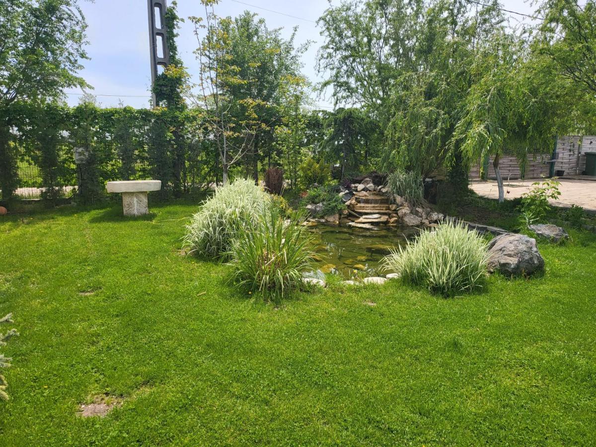 Casa Elis Piscina, Jacuzzy , Sauna, Ciubar Merei エクステリア 写真