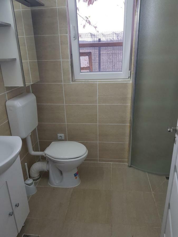 Casa Elis Piscina, Jacuzzy , Sauna, Ciubar Merei エクステリア 写真